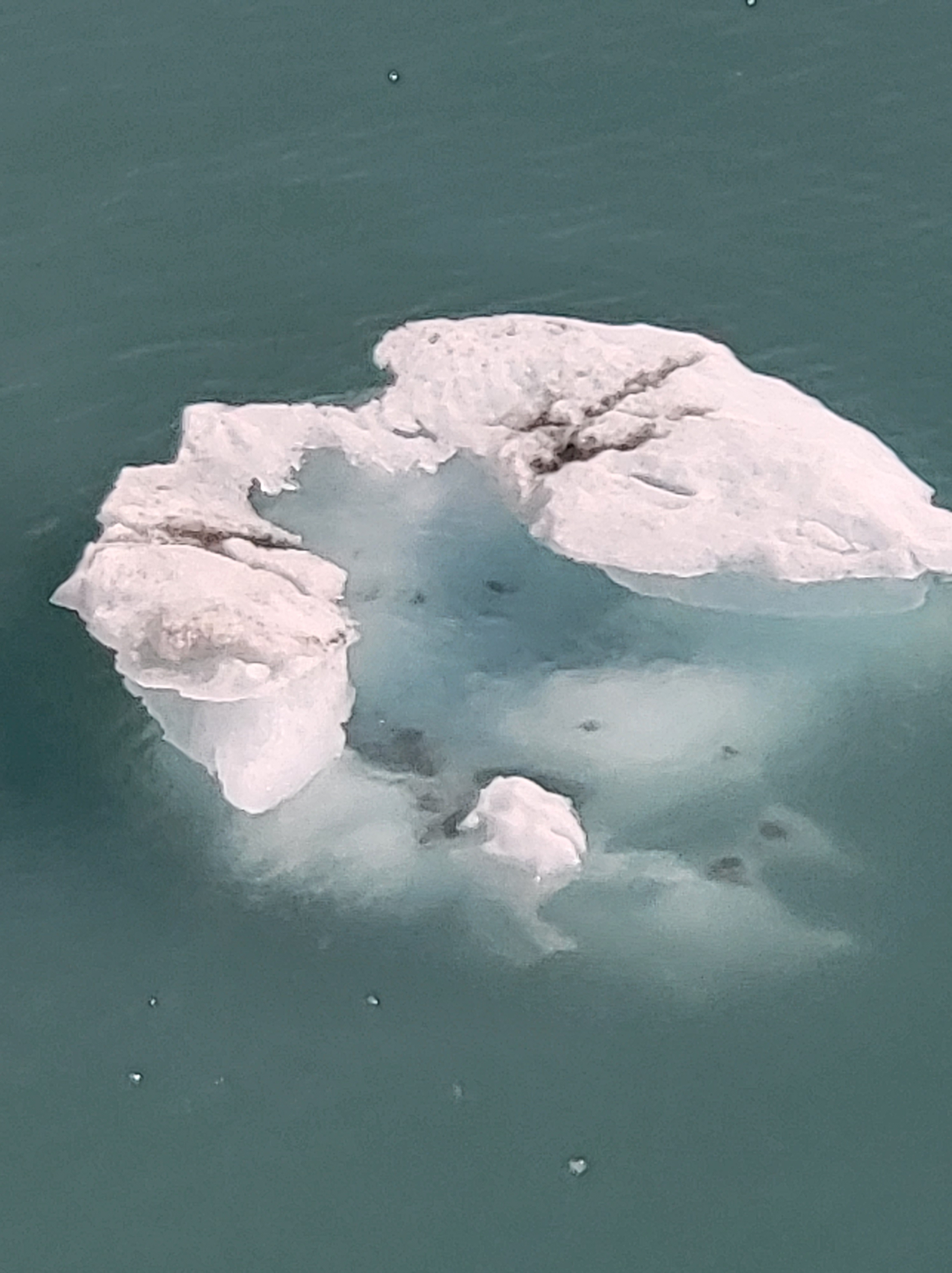 Alaska Cruise 2022 on NCL Sun with a Surprise Ending!