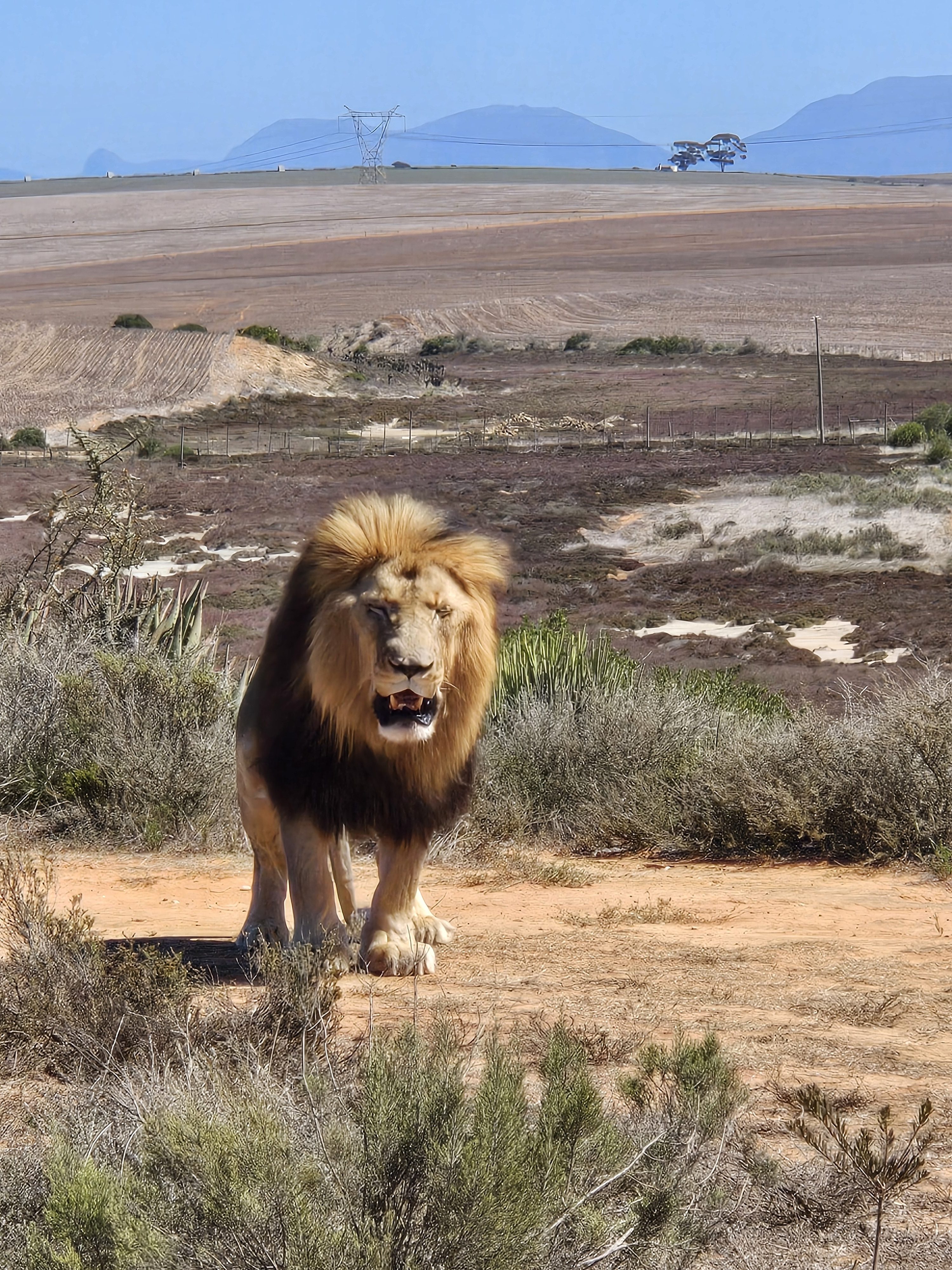 Cruise Around Africa Part 1