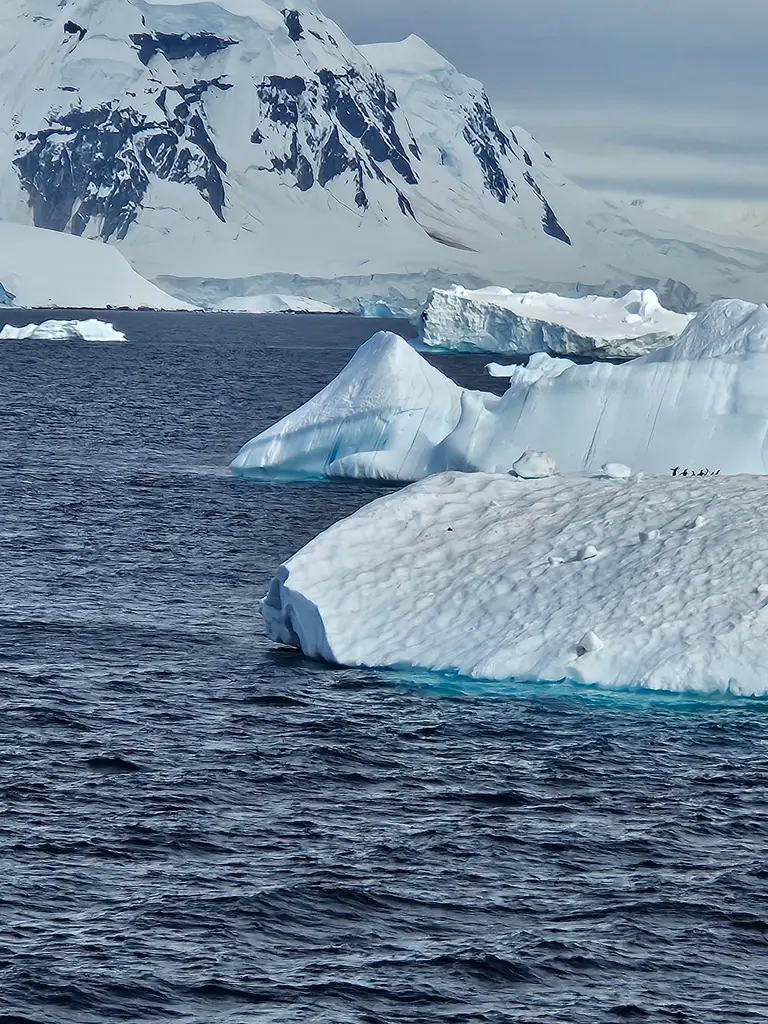 Your First Antarctica Cruise: What to Expect